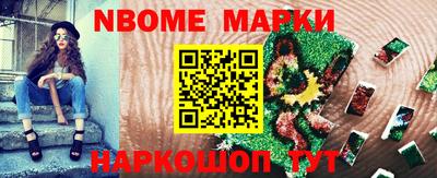 гидра Будённовск
