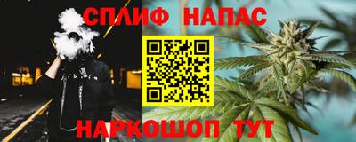гидра Будённовск