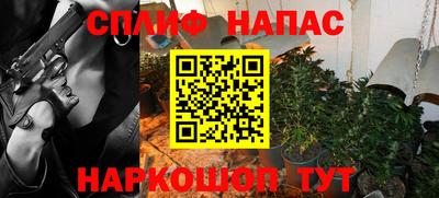 гидра Будённовск