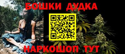 гидра Будённовск