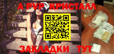 гидра Будённовск