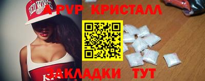 гидра Будённовск