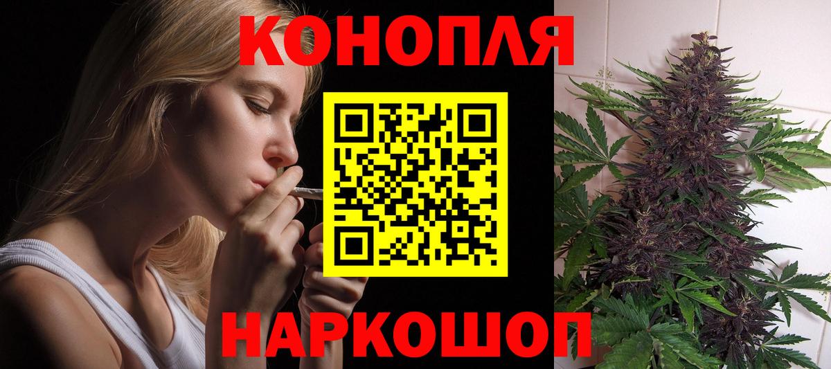 Бошки Шишки гибрид  Конопля VHQ  Вход с VPN  Тында 